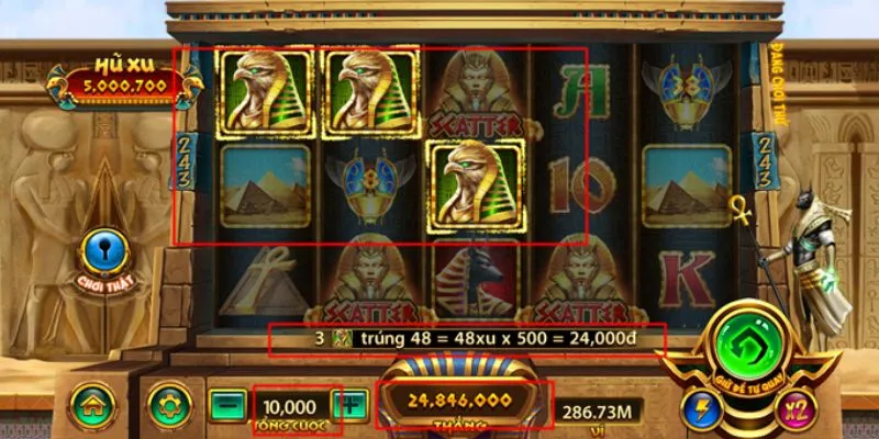 Lý do Bí Mật Cleopatra lại trở thành lựa chọn hàng đầu